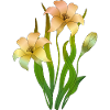 Blumen
