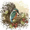 Bunter Vogel