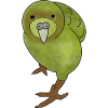 Kakapo