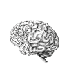 Psychology psychologist therapist gift psyche