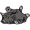 Kitten