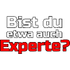 Experte Profi Arbeit Virus Sprüche
