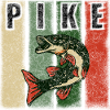 Fish pike pike