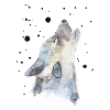 Lupo