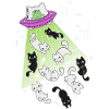 alien cats