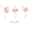 Flamingo Lake Flamingo Ballet