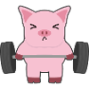 pig