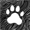 Paw