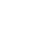 Bitcoin Coin
