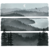 Foggy view