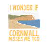 I Wonder If Cornwall Misses Me Too UK