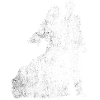 Wedding bride marriage