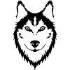 husky