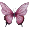 Papillon aquarelle rose tendre
