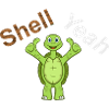 Shell Yeah Tortoise Turtle