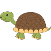 Happy Tortoise Turtle