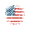 America funny gift idea
