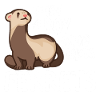 Fretka Wiesel Ferret Tylko chłopiec