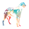Irish Wolfhound