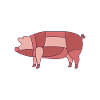 Cut of Pork