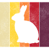 Rabbit Retro Rabbit Easter Gift