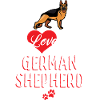 German shepherd dog