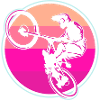 Mountain bike BMX Downhill
