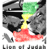Lion of Judah Reggae Rasta