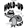 Waschbär halten