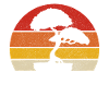 bonsaï