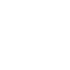 Driving licence