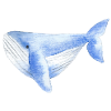 Baleine aquarelle
