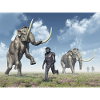 Mammoths and Homo Habilis