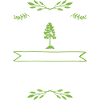 Nature tree trees