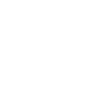 Viking Industries