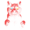 Chat effrayé avec hétérochromie