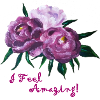 feel amazing peonies