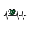 Funny Pakistani saying Pakistan gift