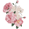 Pink roses
