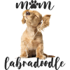 Mom labradoodle
