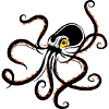octopuss