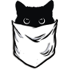 Pocket black cat
