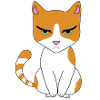 Moody cat