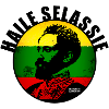 Silhouette Rasta dans le Métro