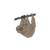 Spruch