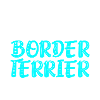 Border terrier