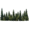 Trees