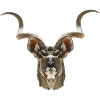 Kudu antelope, african animal designs