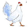 Roll my hen