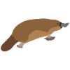 Platypus - Platypus